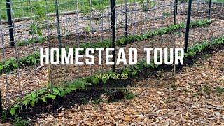 Homestead Tour  What Are We Growing  May 2023