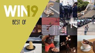 WIN Compilation Best of 2019 Videos of the Year