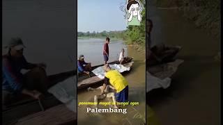 Penemuan mayat terapung di sungai oleh nelayan.#fyp #kriminal