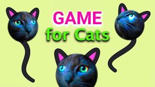 CAT GAMES ON SCREEN. Catch the tail with cat meowing voice sounds that cats love. VIDEOS FOR CATS TV