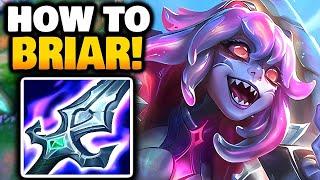 BRIAR Jungle how to CARRY  Season 14.14