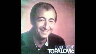 Dobrivoje Topalovic - Ti si bila moja greska - Audio 1982 HD