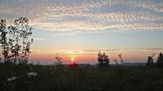 Summer Sunset With Crickets and Birds Singing  1 Hour