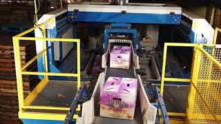 Palletizing  Automatic Palletizing machine VPM-10 by Verbruggen  stacking boxes of onions