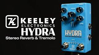 Keeley HYDRA Stereo Reverb & Tremolo