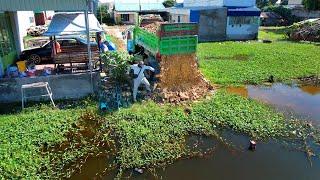 Wow rebuild a road on Flooded areas completed Bulldozer D20 & Truck 5T Pushing Stone Into Water