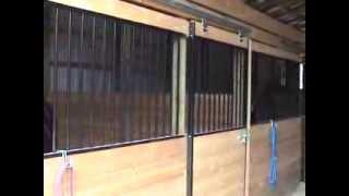 Black Steel Horse Stalls by Country Manufacturing