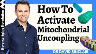 Mitochondrial Uncoupling - The Secret Behind Healthy Aging  Dr David Sinclair Interview Clips