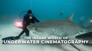 Why I Love Underwater Cinematography