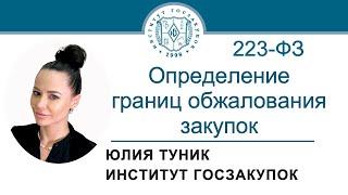 Определение границ обжалования закупок по Закону 223-ФЗ 15.02.2024