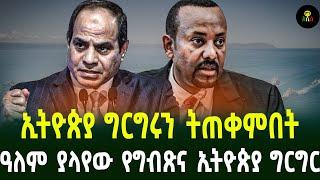 ኢትዮጵያ ግርግሩን ትጠቀምበት ዓለም ያላየው የግብጽና ኢትዮጵያ ግርግር