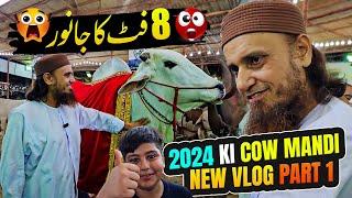 New Cow Mandi Vlog 2024 Part -1 - Mufti Tariq Masood Vlogs