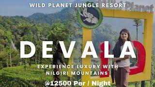 Wild Planet Jungle Resort  Best Jungle Resort In India  Devala Kerla