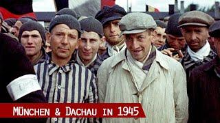 Munich and the liberation of Dachau Concentration Camp 1945