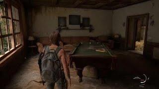 The Last of Us™ Part II - Billiard Ball