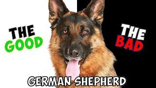 GERMAN SHEPHERD - PROS & CONS