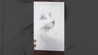 cat sketch #art #drawing #artist #viral  #shortsfeed #ytshorts #shorts #simpleart #howtodraw