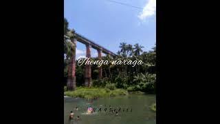 Osaka song  vankam Chennai movie Anirudh speical Whatsapp Status tamil