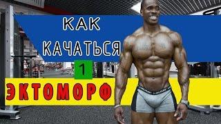 ЭКТОМОРФ как КАЧАТЬСЯ? ПРОГРАММА ТРЕНИРОВОК