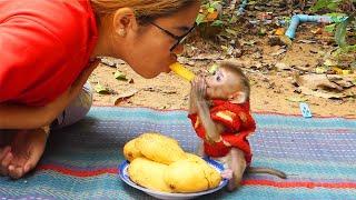 Most Unconditional Love Mom Share Fruit To Beloved Son Pruno Little Pruno Hungry Eat Fruit From Mom