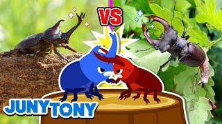 Jaws vs. Horns - The Match of Strength  Insects for Kids  Kids Songs & Stories  JunyTony