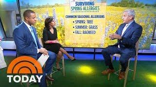 How To Survive Spring Allergies — And Prevent Them Before Symptoms Start  TODAY