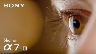 PRECISION  Cinematic corporate video  Sony A7sIII