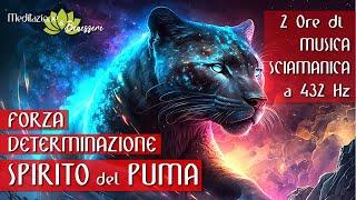 Musica Sciamanica 432 Hz Spirito del Puma  Forza Determinazione  Indipendenza  Tamburo Sciamanico