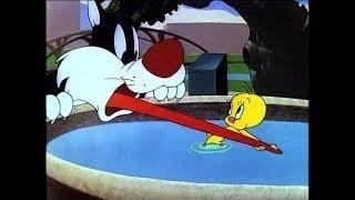 Looney Tunes  Vicious Cat  WB Animation