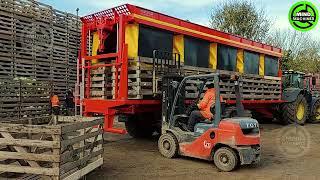 The Most Modern Agriculture Machines That Are At Another Level  How To Harvest Carrots In Farm