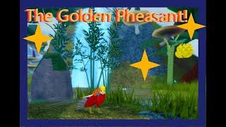 Golden Pheasant Update Showcase - Feather Family