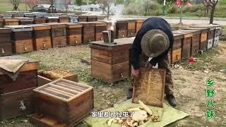 How much honey do Chinese bees carry and what is the wholesale price of honey in China