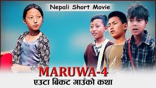 Maruwa 4 nepali short movie 2023  मरुवा ४  new nepali film 2079