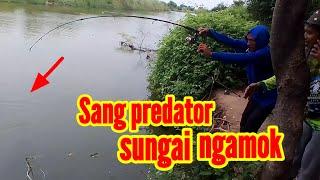 BIKIN KETAGIHAN MANCING DI SINI ‼️ MANCING IKAN KAKAP PUTIH BIKIN KETAGIHAN #mancingikan #fishing