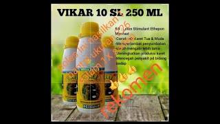 Hasil review poles VIKAR  vitamin karet  Bagian 2