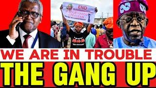 Theres No Country Anymore Dangote Refinery Gang Up With Tinubu To Suffer Nigerians