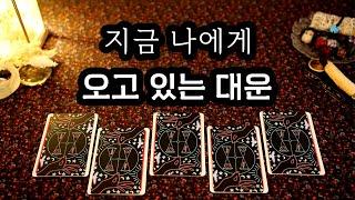 타로 지금 내게 오고 있는 대운