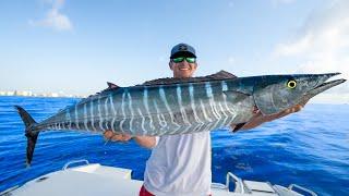 Most PRIZED Deep Sea Fish Catch Clean Cook Wahoo