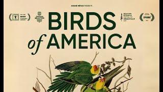 Trailer «Birds of America» von Jacques Lœuille OmU
