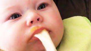 Baby vomiting milk makes parents surprised  #008 - Baby Puked on Daddy - Funny Pets Moments