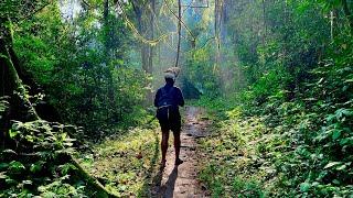 Sabarimala Trek via the Traditional Long Route  Erumeli - Azhutha - Karimala - Pampa  Kaananapatha