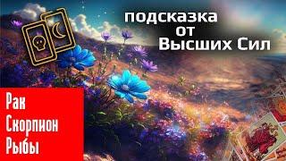 Подсказка от Высших Сил  Рак Скорпион Рыбы