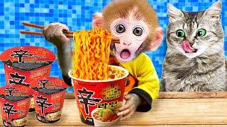 Baby Monkey Kiki enjoys spicy noodles & plays with kitten and duckling hallenge  KUDO ANIMAL KIKI