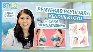 Penyebab Payudara Kendur & Cara Mengatasi dari Dokter  Selain karena Menyusui  STYLO