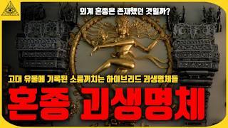 지구상 가장 소름끼치는 절대 알면 안되는 고대 혼종 괴생명체