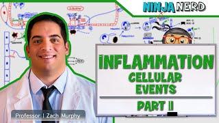 Immunology  Inflammation Cellular Events Part 2