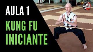 Kung Fu para Iniciantes  Aula 1  Treino de Kung Fu em Casa