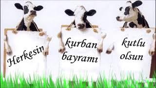 KURBAN BAYRAMI KOMİK RESİMLER   2022 BAYRAM MESAJLARI