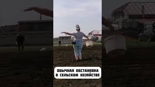 Когда работа в кайф #shortvideo #sorts