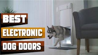 Most Amazing  Electronic Dog Doors in 2024